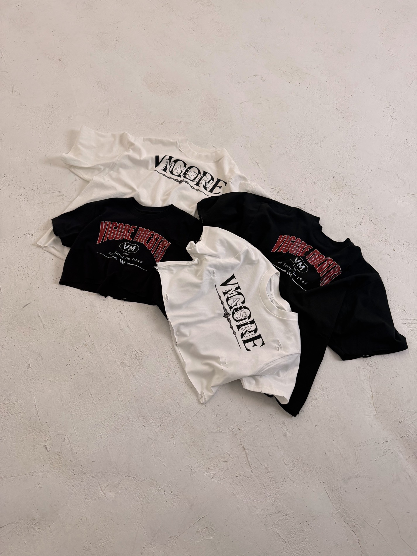 Vigore Maestri campaign